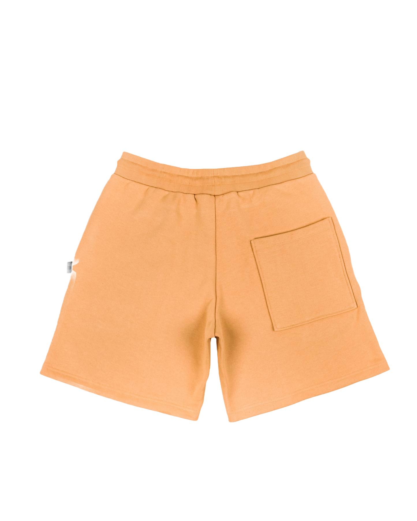Ultra Heavy Shorts